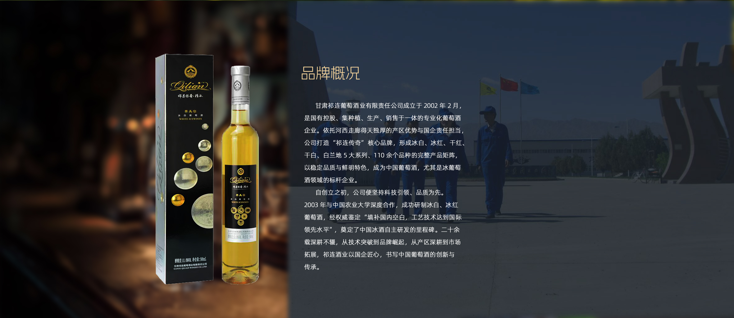 品牌概况
